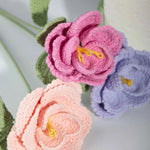 DIY Multi-Color Single Stem Crochet French Rose Bouquet Material Kits