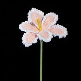 Everlasting Crochet Parrot Tulip( Single)