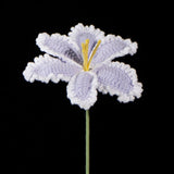 Everlasting Crochet Parrot Tulip( Single)