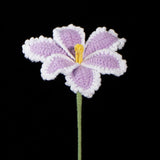 Everlasting Crochet Parrot Tulip( Single)