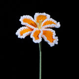 Everlasting Crochet Parrot Tulip( Single)