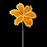 Everlasting Crochet Parrot Tulip( Single)