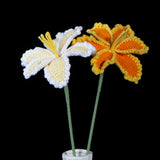 Everlasting Crochet Parrot Tulip( Single)
