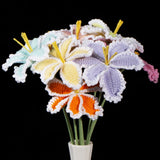 Everlasting Crochet Parrot Tulip( Single)