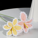 Everlasting Crochet Parrot Tulip( Single)