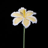 Everlasting Crochet Parrot Tulip( Single)