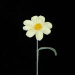 Handcrafted Crochet Galsang (Kashmir) Flower