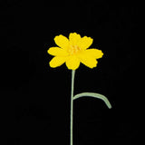 Handcrafted Crochet Galsang (Kashmir) Flower