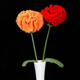 Handmade Crochet Carnation Flower-Aesthetic Home Decor