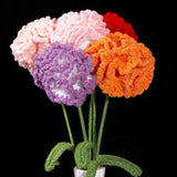 Handmade Crochet Carnation Flower-Aesthetic Home Decor