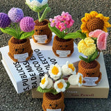 Handmade Crochet Emotional Support Plant Potted Flower
