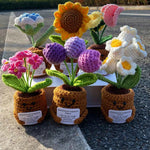 Handmade Crochet Emotional Support Plant Potted Flower
