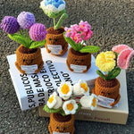 Handmade Crochet Emotional Support Plant Potted Flower