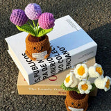 Handmade Crochet Emotional Support Plant Potted Flower
