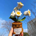 Handmade Crochet Emotional Support Plant Potted Flower