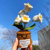 Handmade Crochet Emotional Support Plant Potted Flower
