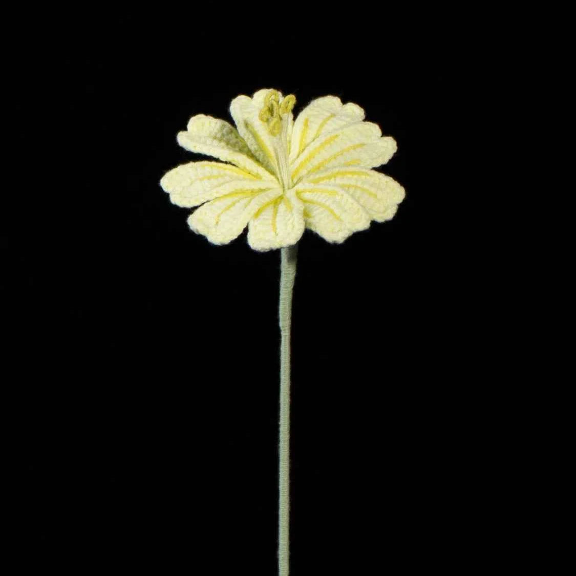 Handmade Crochet Lewisia (Lewisia cotyledon) | Realistic Fake Flower