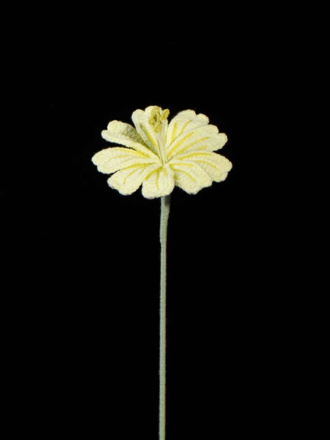 Handmade Crochet Lewisia (Lewisia cotyledon) | Realistic Fake Flower