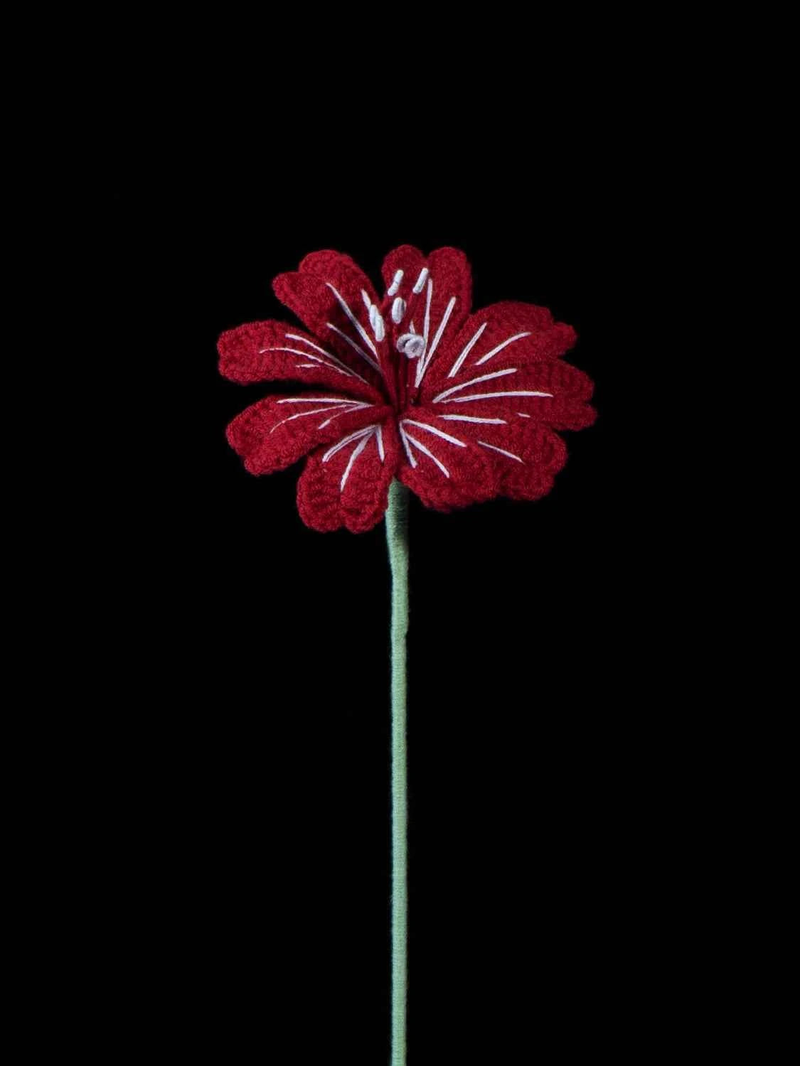 Handmade Crochet Lewisia (Lewisia cotyledon) | Realistic Fake Flower