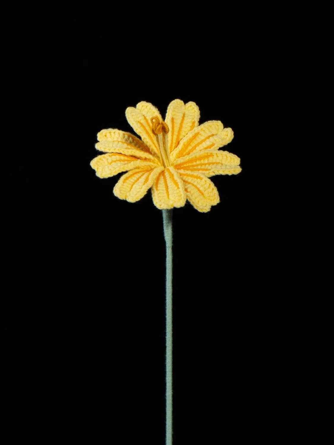 Handmade Crochet Lewisia (Lewisia cotyledon) | Realistic Fake Flower