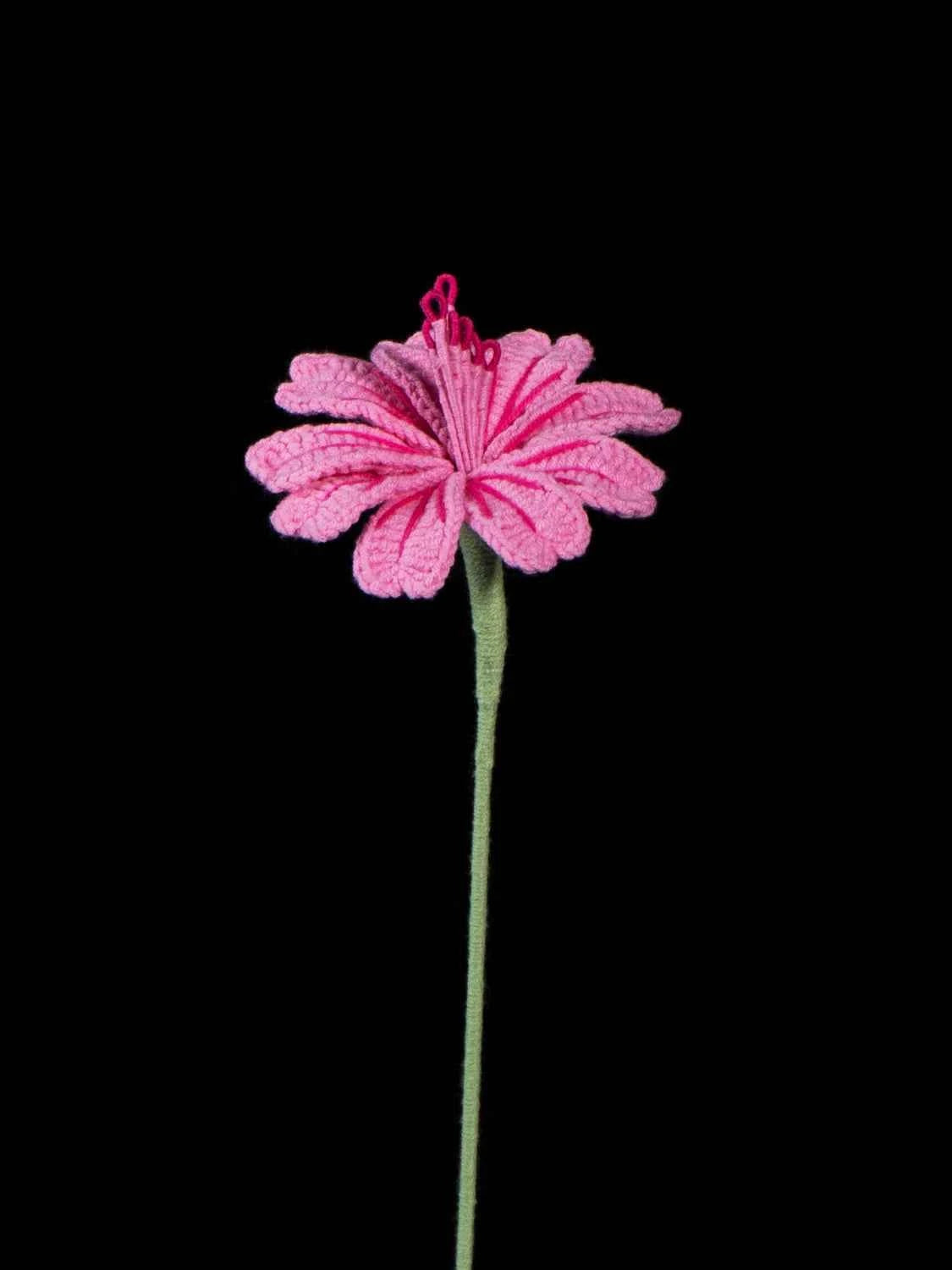 Handmade Crochet Lewisia (Lewisia cotyledon) | Realistic Fake Flower