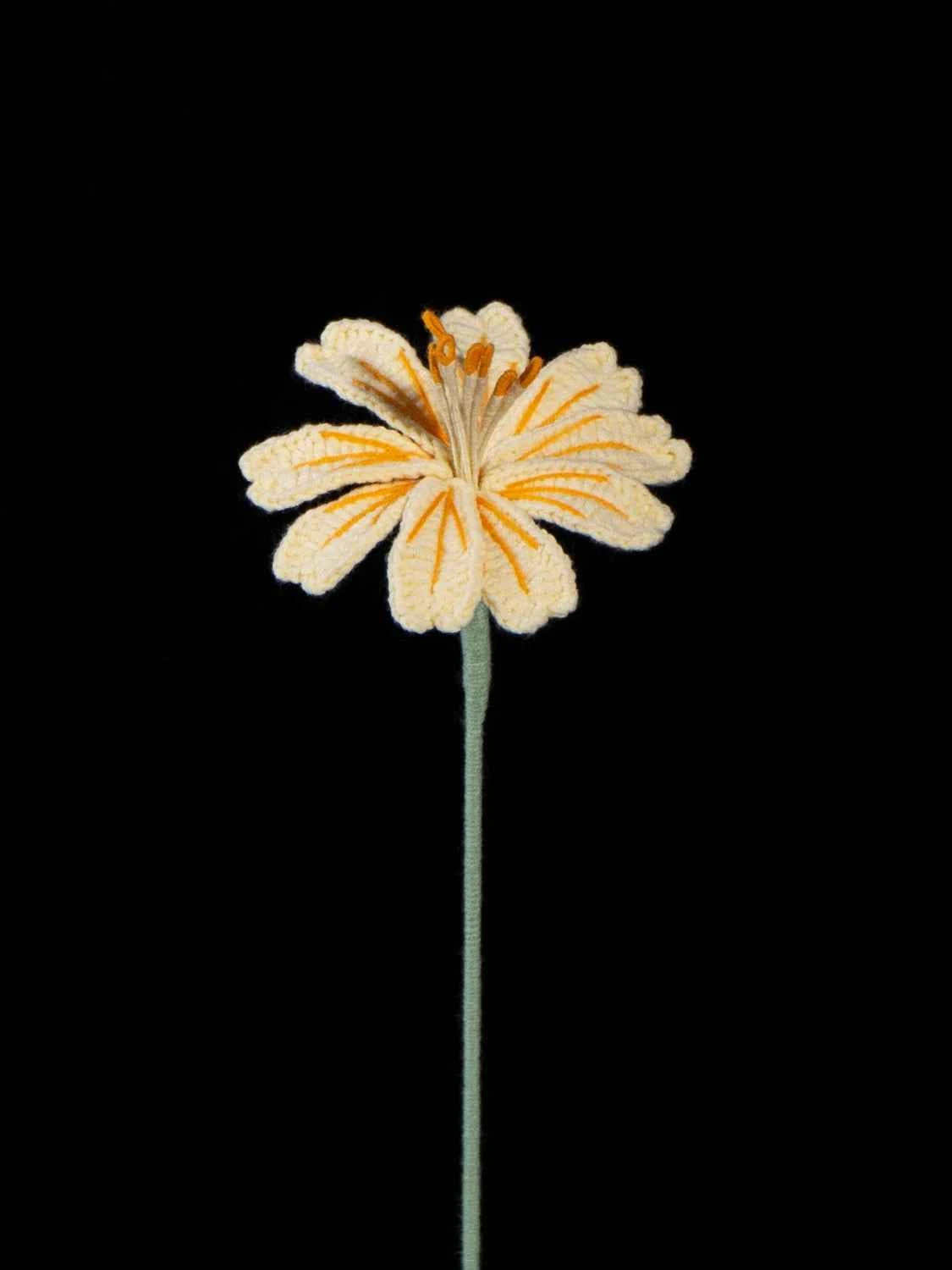 Handmade Crochet Lewisia (Lewisia cotyledon) | Realistic Fake Flower