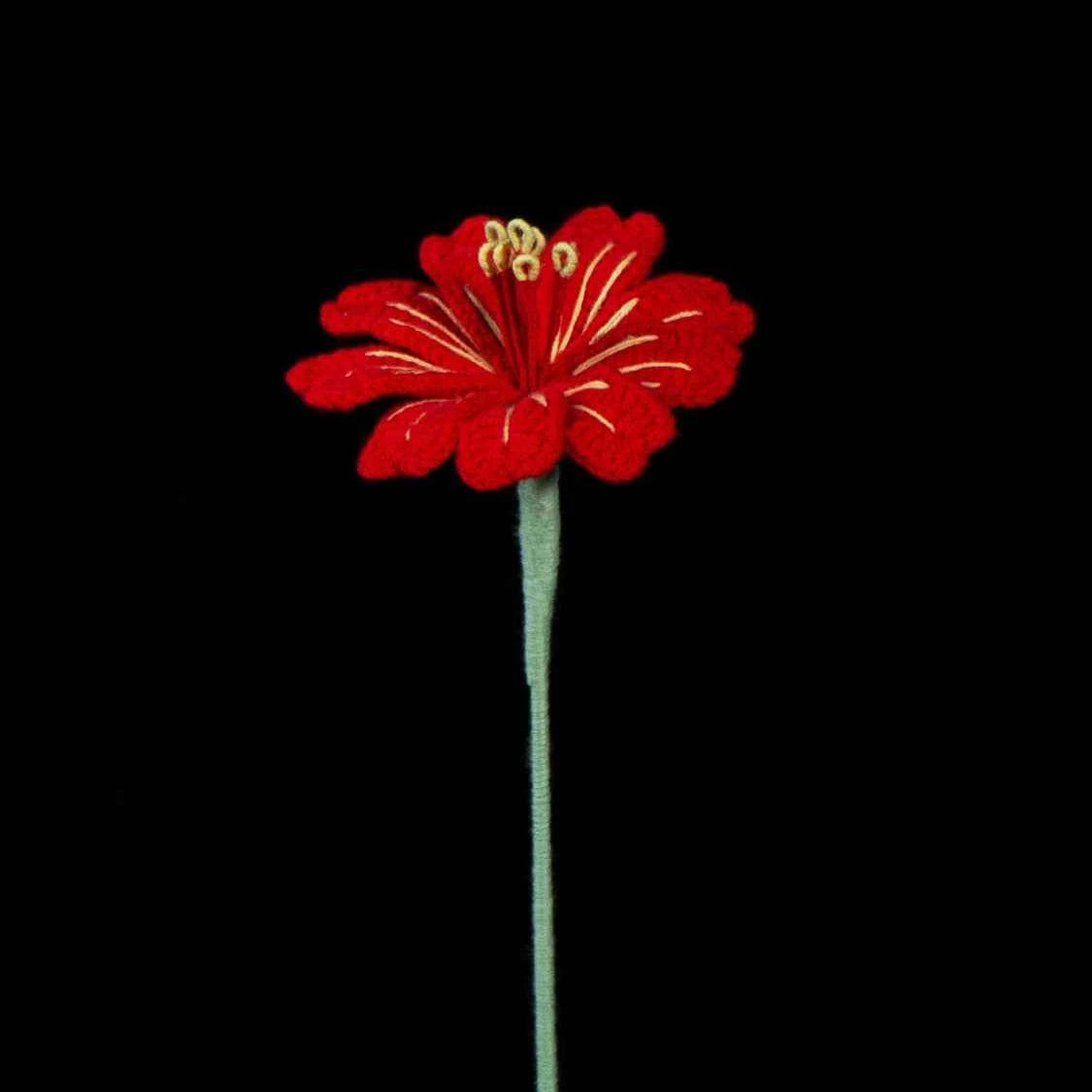 Handmade Crochet Lewisia (Lewisia cotyledon) | Realistic Fake Flower