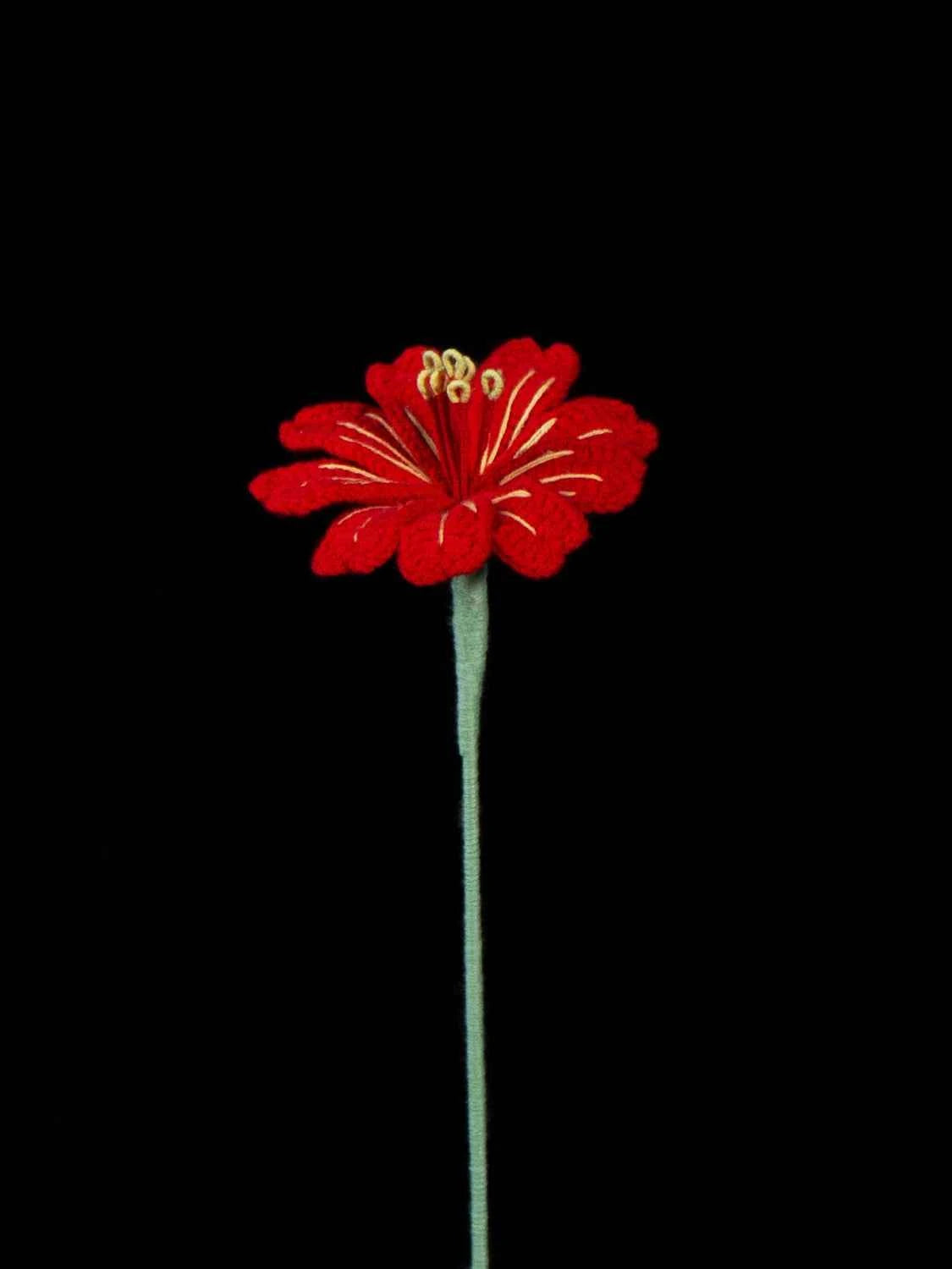 Handmade Crochet Lewisia (Lewisia cotyledon) | Realistic Fake Flower
