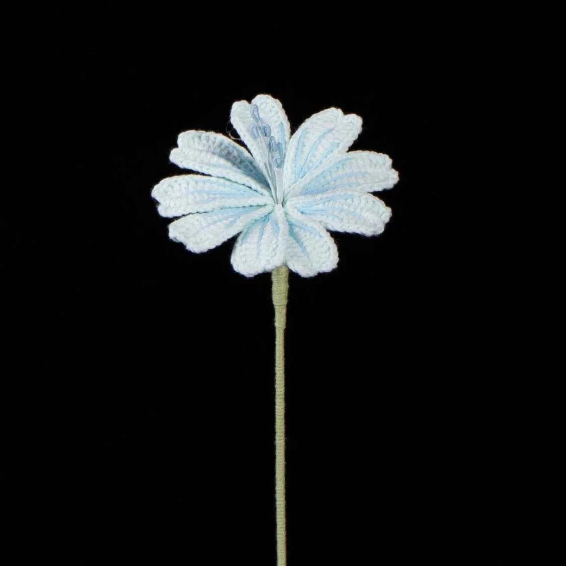 Handmade Crochet Lewisia (Lewisia cotyledon) | Realistic Fake Flower