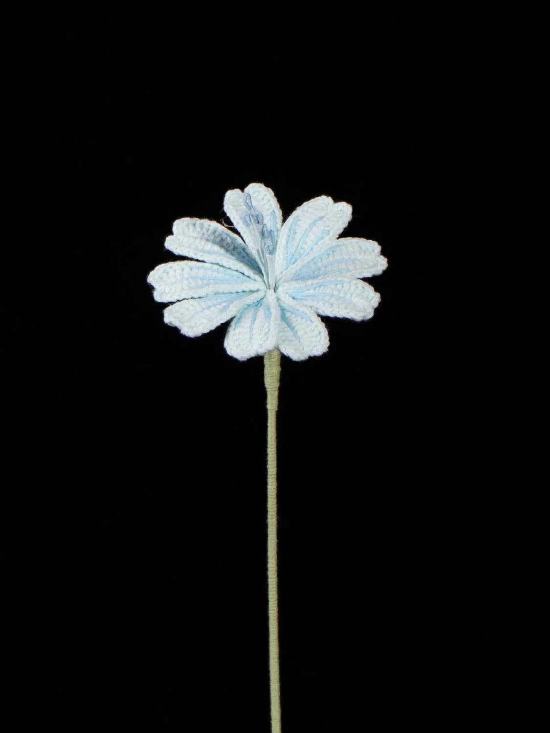 Handmade Crochet Lewisia (Lewisia cotyledon) | Realistic Fake Flower
