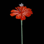 Handmade Crochet Lewisia (Lewisia cotyledon) | Realistic Fake Flower