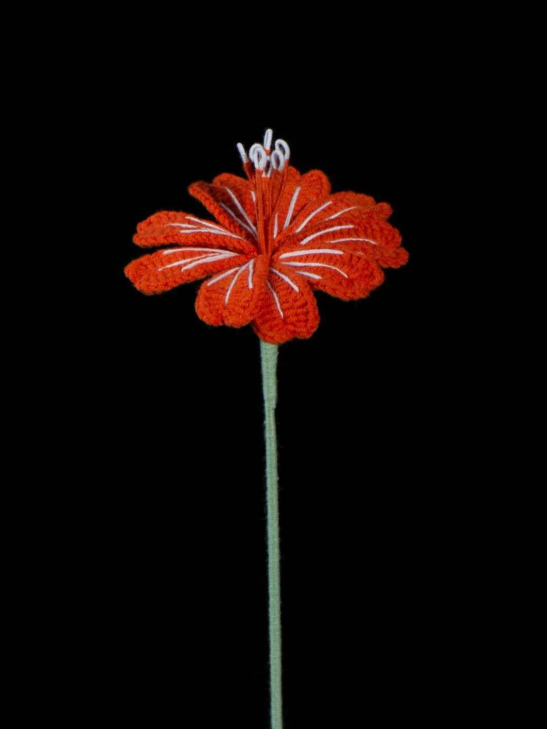 Handmade Crochet Lewisia (Lewisia cotyledon) | Realistic Fake Flower