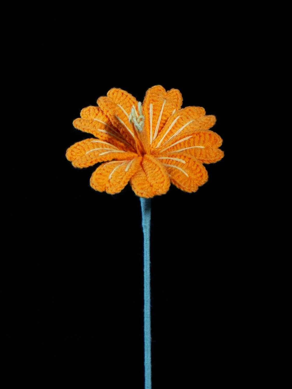 Handmade Crochet Lewisia (Lewisia cotyledon) | Realistic Fake Flower
