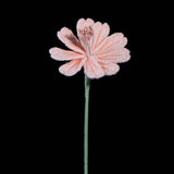Handmade Crochet Lewisia (Lewisia cotyledon) | Realistic Fake Flower