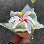 Handmade Crochet Lily Bouquet – Single Stem Yarn Lily Flower Gift