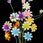 Handmade Crochet Osteospermum Flower