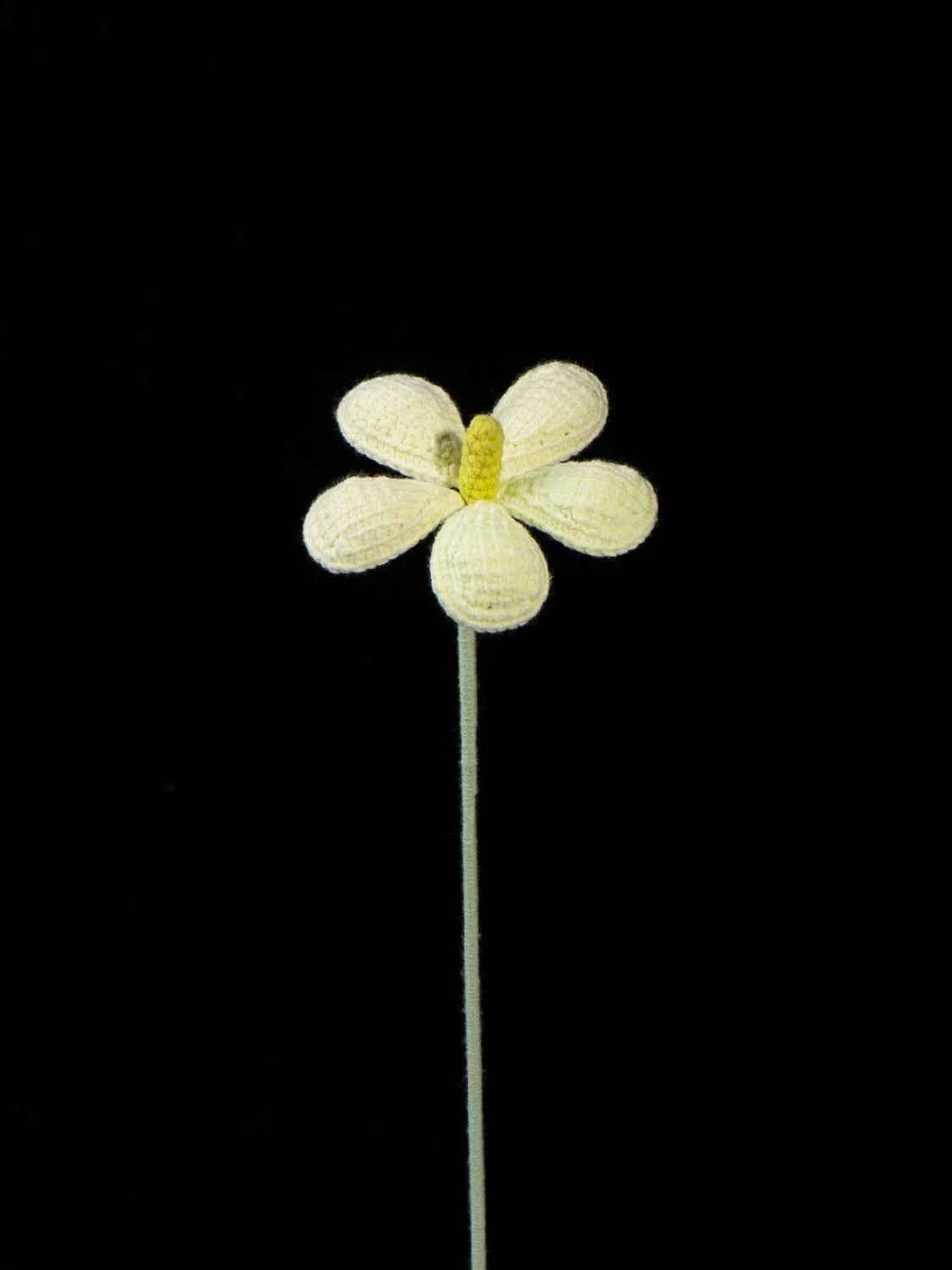Handmade Crochet Plumeria Flower