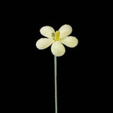 Handmade Crochet Plumeria Flower