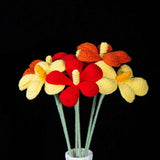 Handmade Crochet Plumeria Flower