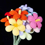 Handmade Crochet Plumeria Flower