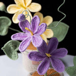 Handmade Crochet Tung Oil Flower Potted Plant