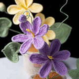 Handmade Crochet Tung Oil Flower Potted Plant