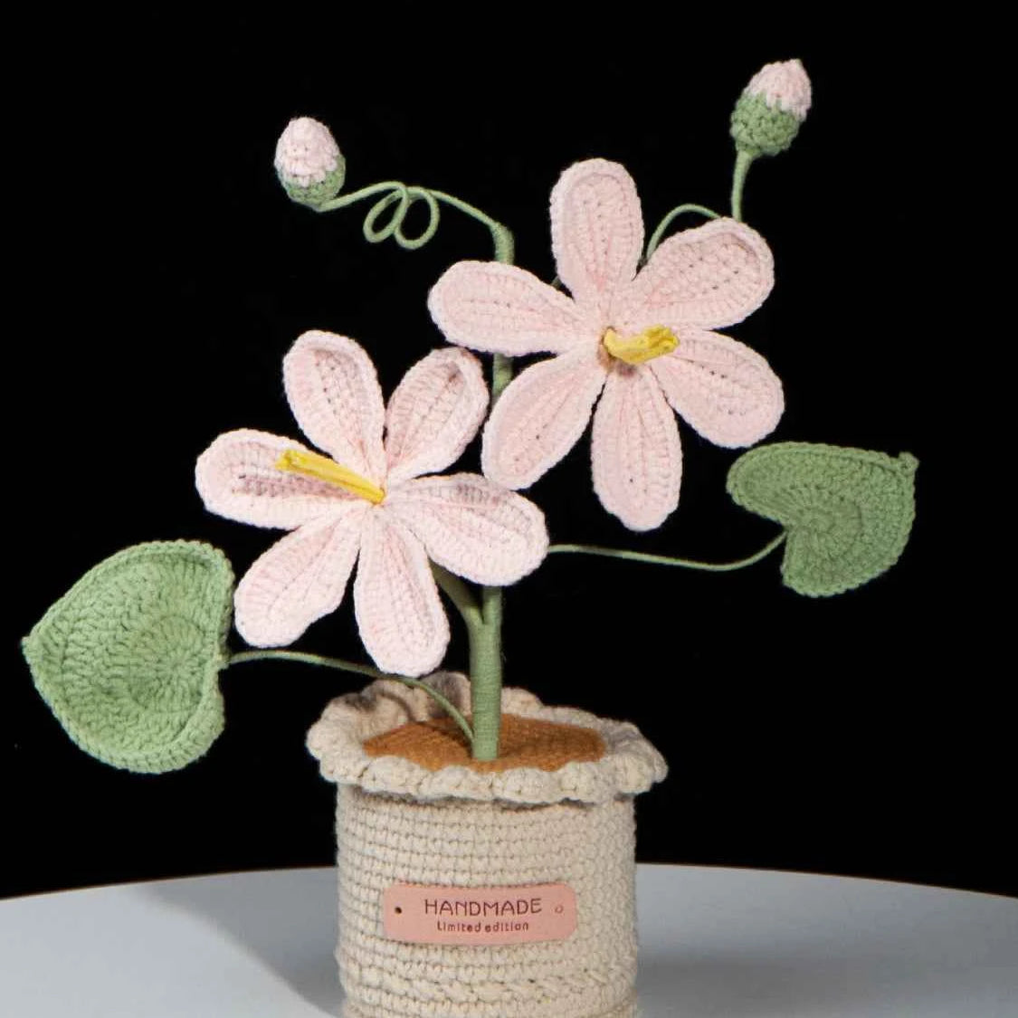 Handmade Crochet Tung Oil Flower Potted Plant