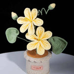 Handmade Crochet Tung Oil Flower Potted Plant