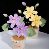 Handmade Crochet Tung Oil Flower Potted Plant