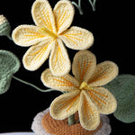 Handmade Crochet Tung Oil Flower Potted Plant