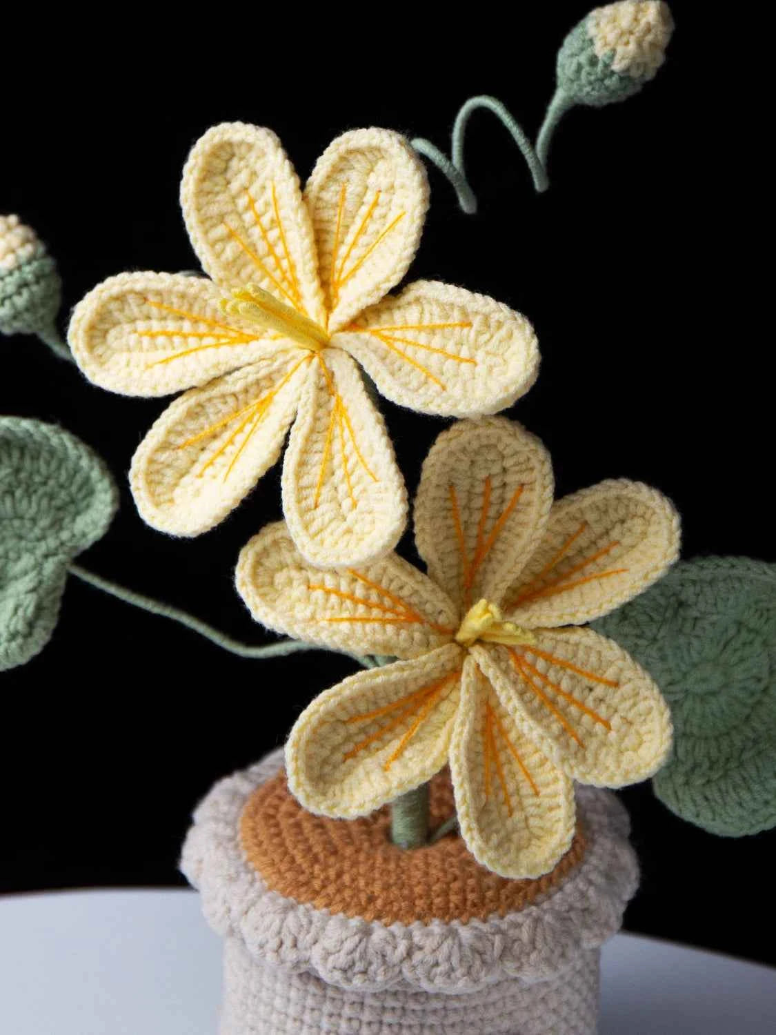Handmade Crochet Tung Oil Flower Potted Plant