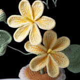 Handmade Crochet Tung Oil Flower Potted Plant