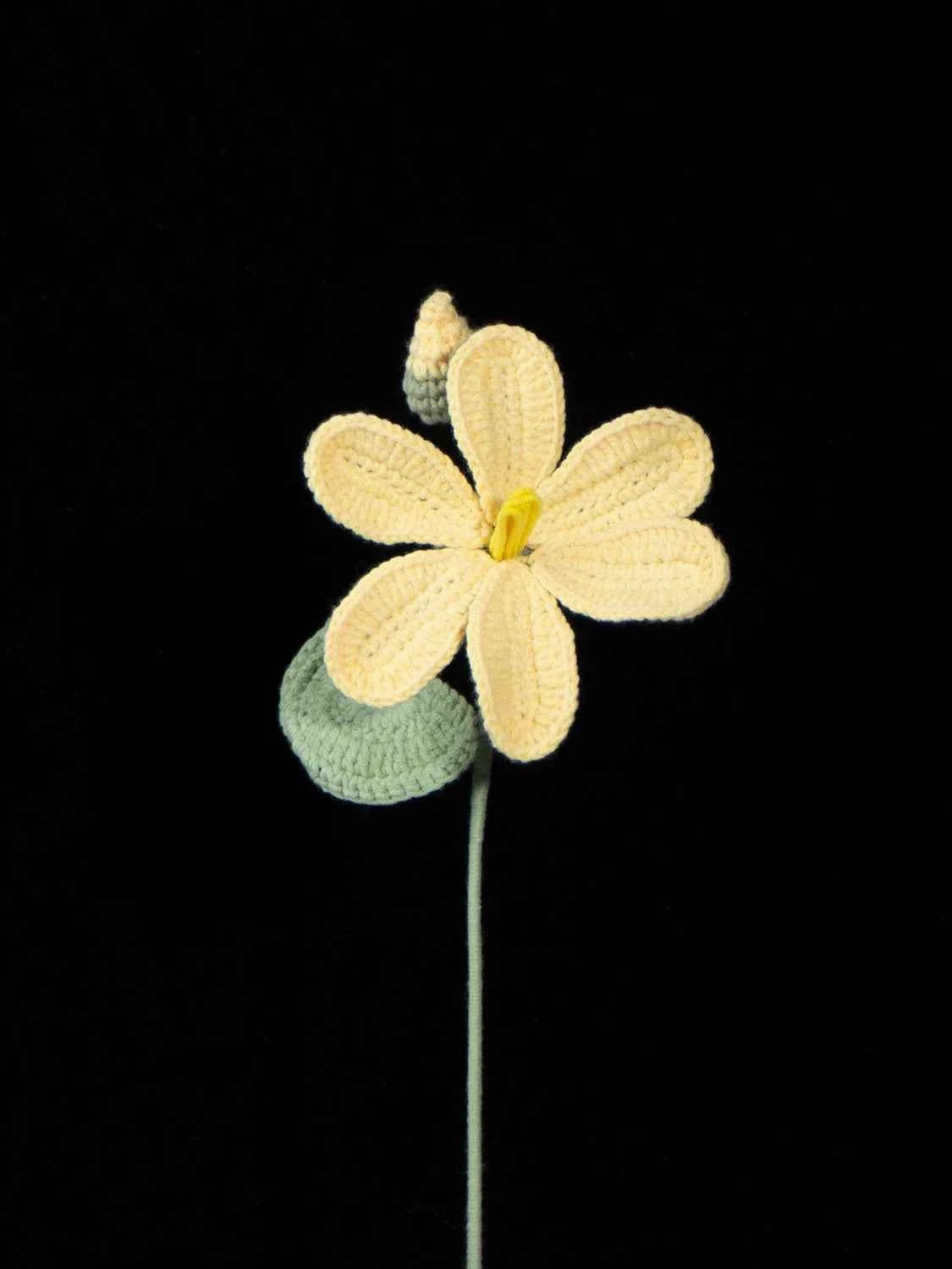 Handmade Crochet Tung Tree Flower Stems | Forever Blossom for First Love & Friendship