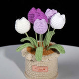 Handmade Crochet Tulip Potted Plant | Forever Flower Gift for Her